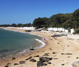 Le Village de la Mer Das Loire-Gebiet - Les Moutiers en Retz visuel 4/11