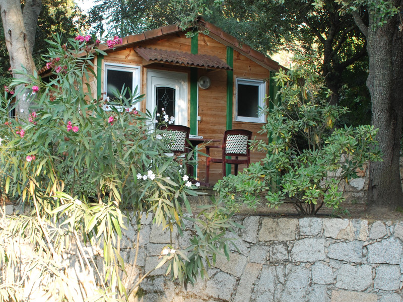 Lecci e Murta Korsika - Belvédère-Campomoro visuel 3/7 Lecci e Murta Korsika - Belvédère-Campomoro visuel 3/7