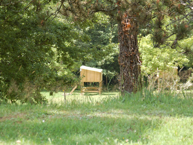 l'Ecrin Nature Limousin - Ambazac visuel 9/10 l'Ecrin Nature Limousin - Ambazac visuel 9/10