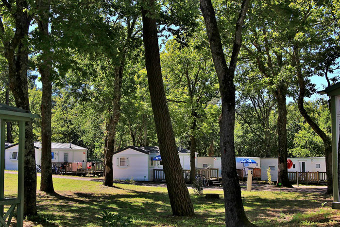 L'Ecureuil Poitou-Charentes - Saint-Augustin visuel 11/11 L'Ecureuil Poitou-Charentes - Saint-Augustin visuel 11/11