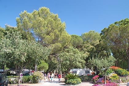 Leï Suves Provence-Alpes-Côte d'Azur - Roquebrune-sur Argens visuel 6/10