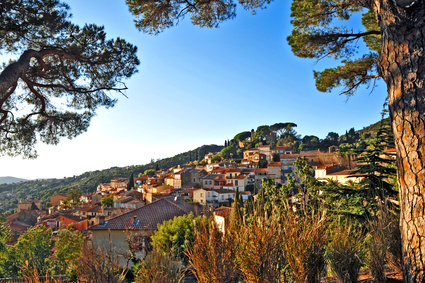 Lei Suves Provence-Alpes-Côte d'Azur - Le Lavandou visuel 1/1