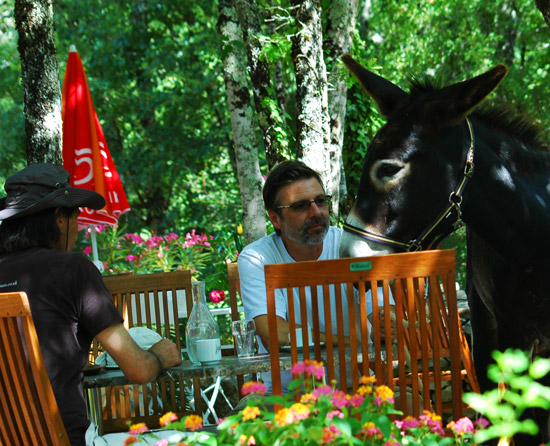 Les 3 Cantons Midi-Pyrénées - Saint-Antonin-Noble-Val visuel 10/10 Les 3 Cantons Midi-Pyrénées - Saint-Antonin-Noble-Val visuel 10/10