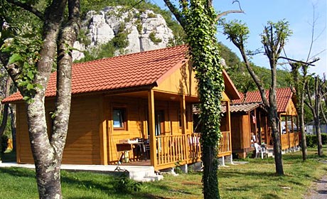 Les Actinidias Rhône-Alpen - Berrias et Casteljau visuel 2/6 Les Actinidias Rhône-Alpen - Berrias et Casteljau visuel 2/6