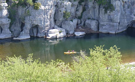 Les Actinidias Rhône-Alpen - Berrias et Casteljau visuel 3/6 Les Actinidias Rhône-Alpen - Berrias et Casteljau visuel 3/6