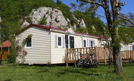 Les Actinidias Rhône-Alpen - Berrias et Casteljau visuel 4/6 Les Actinidias Rhône-Alpen - Berrias et Casteljau visuel 4/6