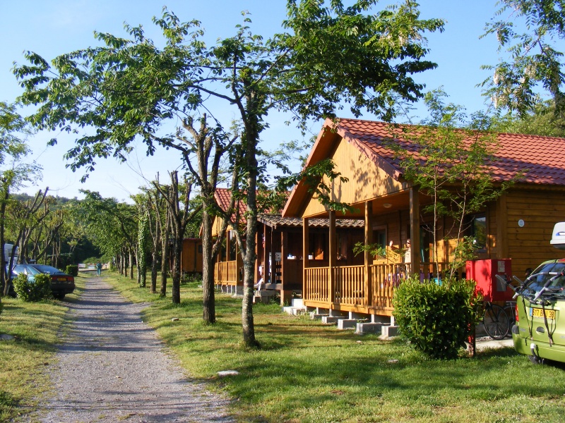 Les Actinidias Rhône-Alpen - Berrias et Casteljau visuel 5/6 Les Actinidias Rhône-Alpen - Berrias et Casteljau visuel 5/6