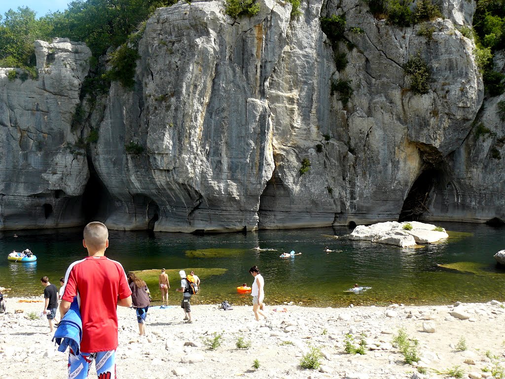 Les Actinidias Rhône-Alpen - Berrias et Casteljau visuel 6/6 Les Actinidias Rhône-Alpen - Berrias et Casteljau visuel 6/6
