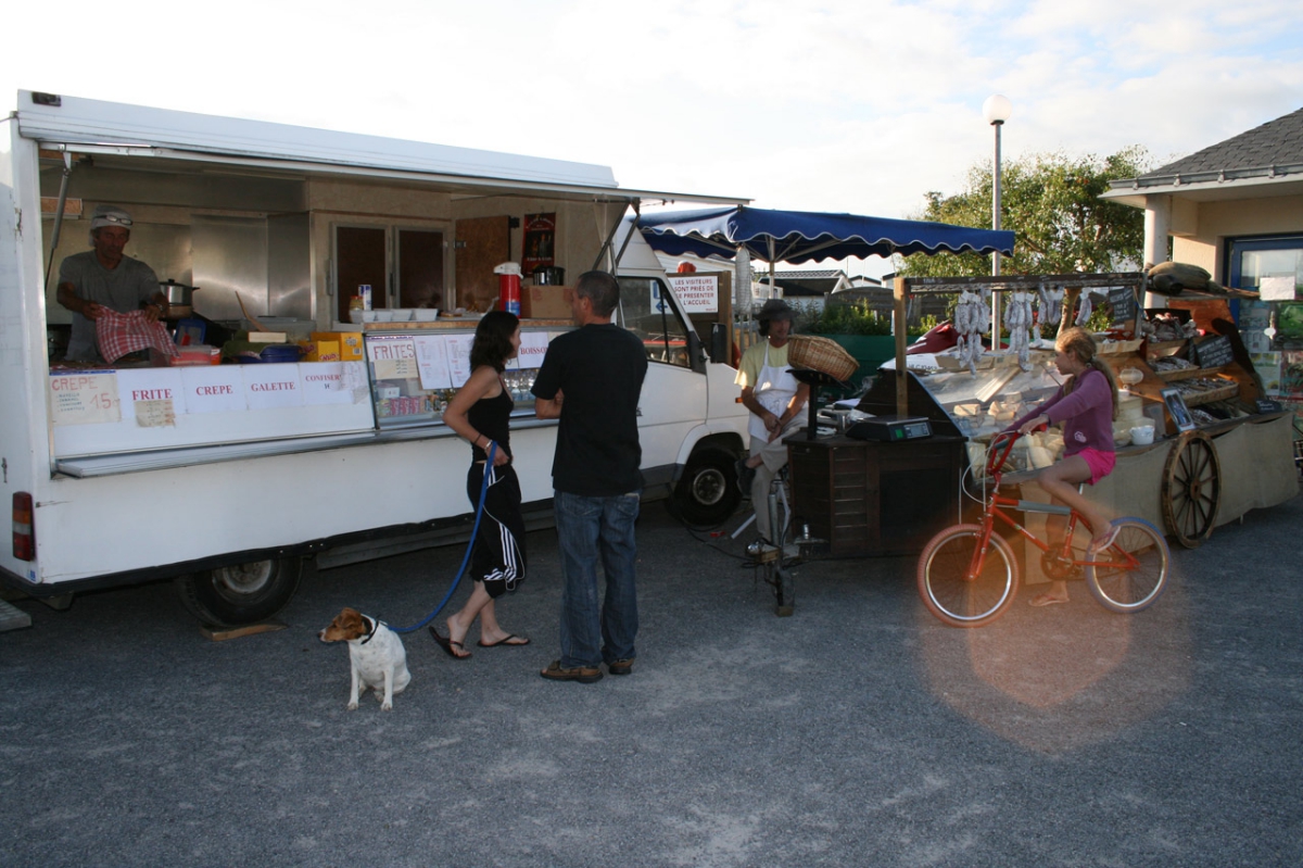 Les Ajoncs d'Or Bretagne - Damgan visuel 1/1 Les Ajoncs d'Or Bretagne - Damgan visuel 1/1