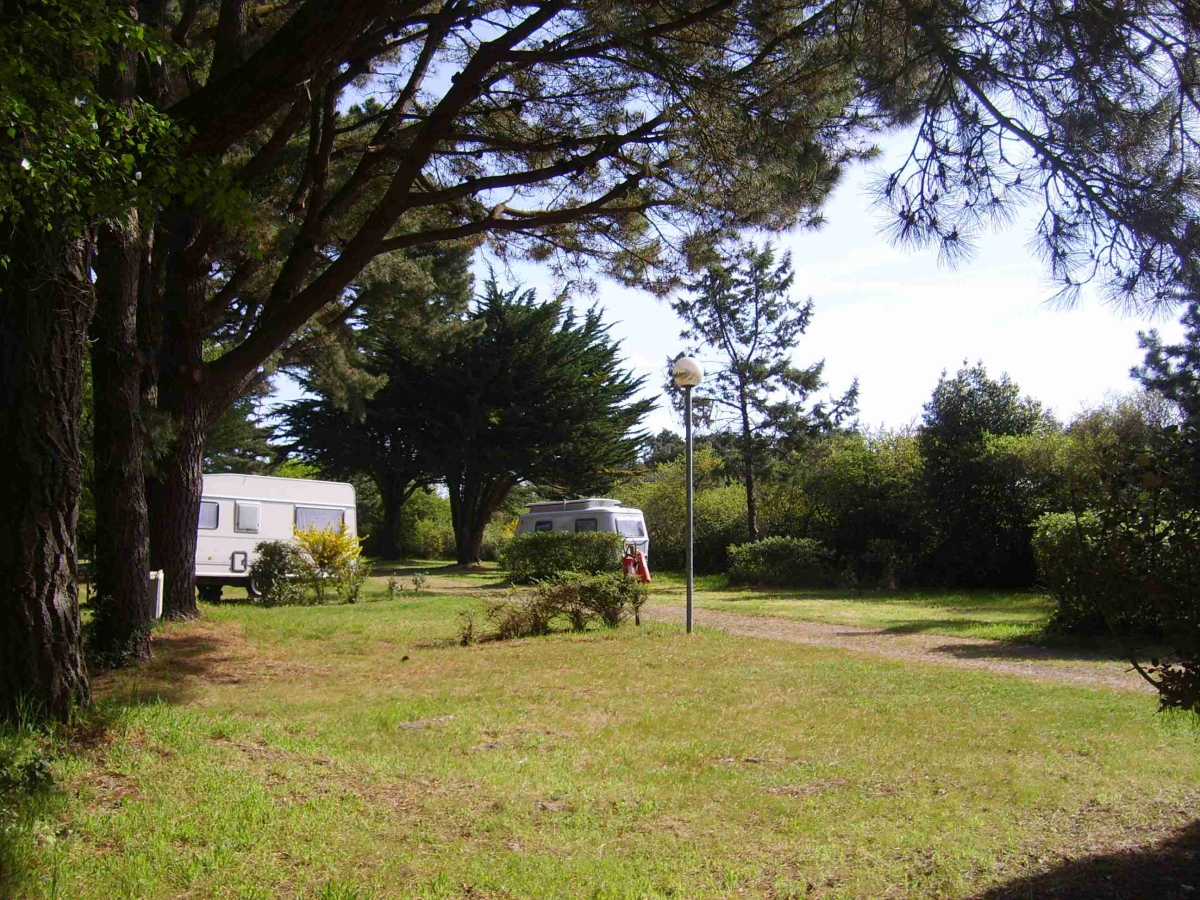 Les Ajoncs d'Or Das Loire-Gebiet - La Baule-Escoublac visuel 19/42