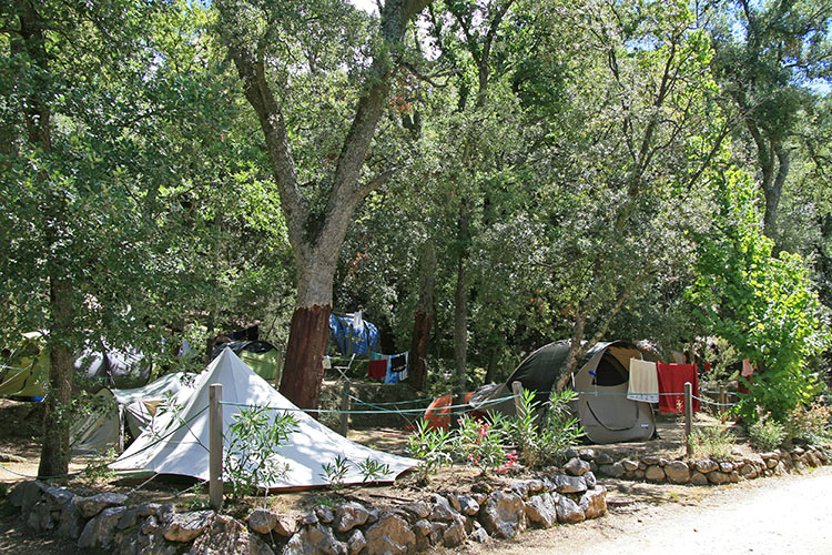 Les Albères Languedoc-Roussillon - Laroque-des-Albères visuel 18/31 Les Albères Languedoc-Roussillon - Laroque-des-Albères visuel 18/31