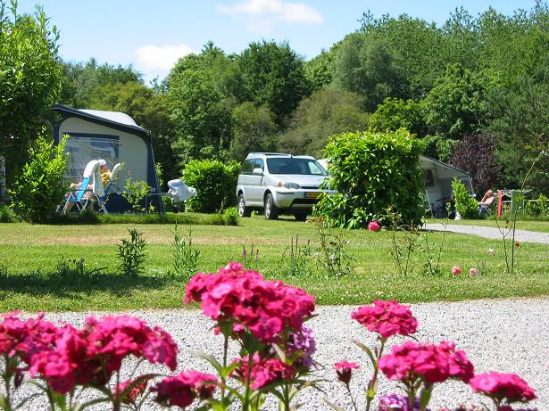 Les Alouettes Limousin - Cognac-la-Forêt visuel 8/10 Les Alouettes Limousin - Cognac-la-Forêt visuel 8/10