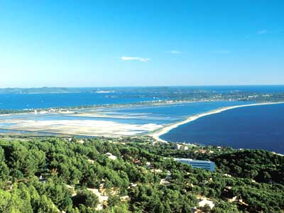 Les Arbousiers Provence-Alpes-Côte d'Azur - Carqueiranne visuel 2/9