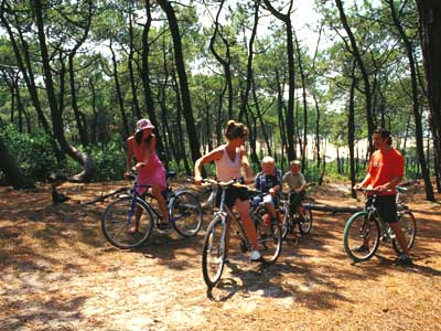 Les Arbousiers Provence-Alpes-Côte d'Azur - Carqueiranne visuel 5/9