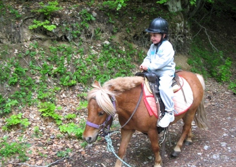 Les Auches Provence-Alpes-Côte d'Azur - Ancelle visuel 5/11