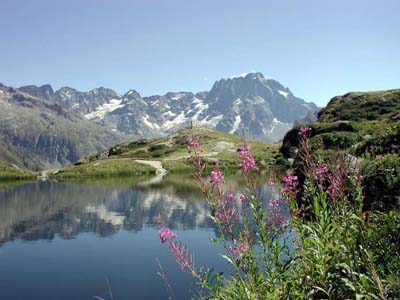 Les Bonnets Provence-Alpes-Côte d'Azur - Neffes visuel 7/9