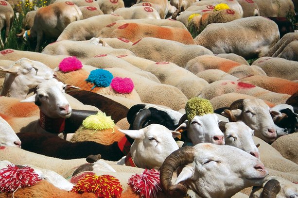 Les Bouldouïres Languedoc-Roussillon - La Salvetat-sur-Agout visuel 6/10 Les Bouldouïres Languedoc-Roussillon - La Salvetat-sur-Agout visuel 6/10