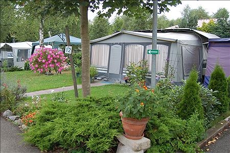 Les Bouleaux Elsass - Ranspach visuel 3/10 Les Bouleaux Elsass - Ranspach visuel 3/10