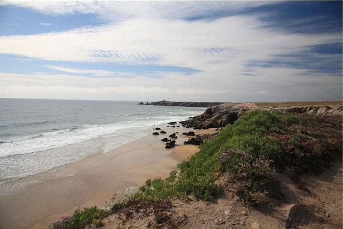 les Bruyères Bretagne - Plouharnel visuel 8/10