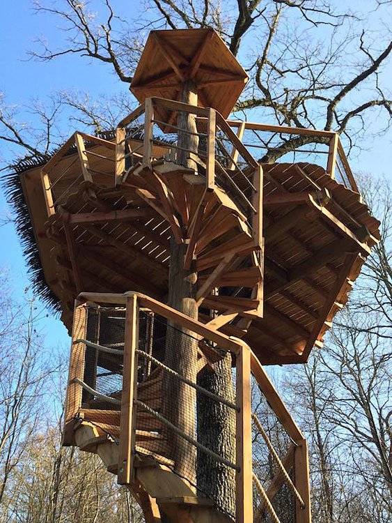 Les Cabanes au Bois d'Orient Champagner-Ardennen - Briel-sur-Barse visuel 3/10 Les Cabanes au Bois d'Orient Champagner-Ardennen - Briel-sur-Barse visuel 3/10
