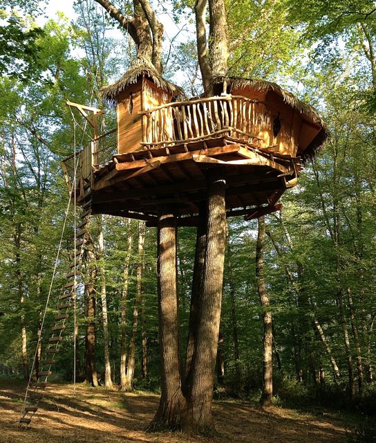 Les Cabanes de la Romaningue Aquitanien - Pompignac visuel 3/10