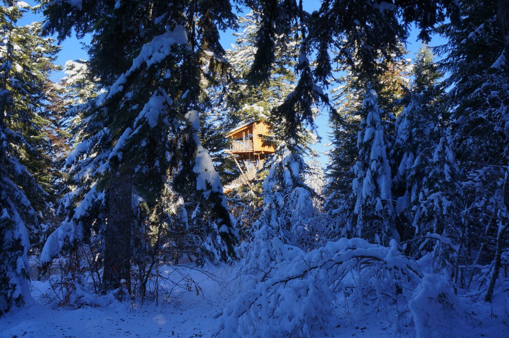 Les Cabanes des Volcans Auvergne - La Tour-d'Auvergne visuel 6/10 Les Cabanes des Volcans Auvergne - La Tour-d'Auvergne visuel 6/10