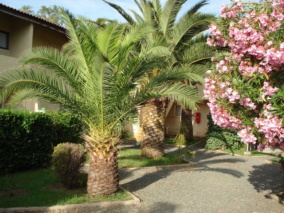 Les Castors Korsika - Calvi visuel 7/10 Les Castors Korsika - Calvi visuel 7/10