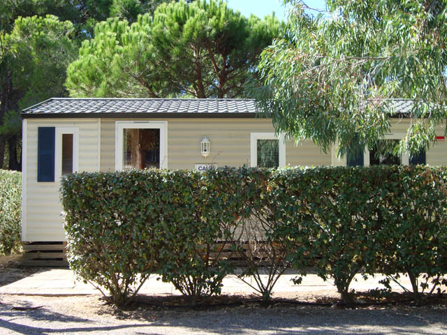 Les Castors Korsika - Calvi visuel 6/10 Les Castors Korsika - Calvi visuel 6/10