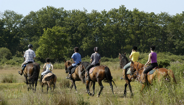 Les Catalpas Aquitanien - Fumel visuel 4/9 Les Catalpas Aquitanien - Fumel visuel 4/9