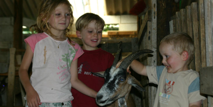 Les Catoyes Provence-Alpes-Côte d'Azur - Sainte-Colombe visuel 7/7