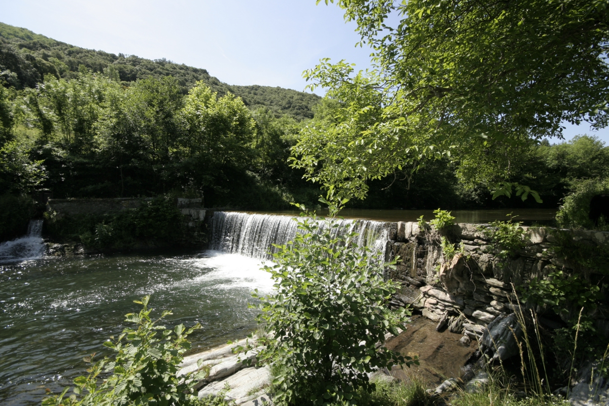 Les Cerisiers du Jaur Languedoc-Roussillon - Saint-Pons de Thomières visuel 3/9 Les Cerisiers du Jaur Languedoc-Roussillon - Saint-Pons de Thomières visuel 3/9