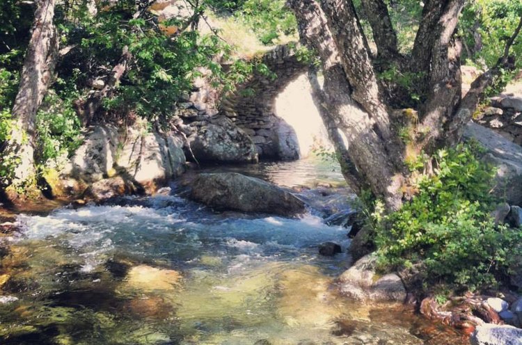 Les Chalets de Lozzi Korsika - Lozzi visuel 3/6