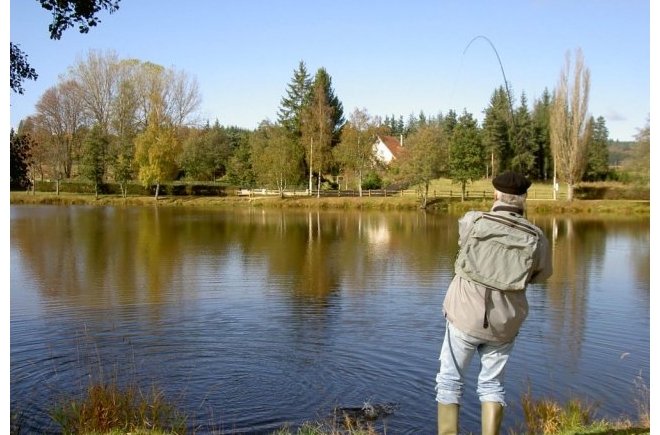 Les Chalets du Haut-Forez Rhône-Alpen - Usson-en-Forez visuel 9/9