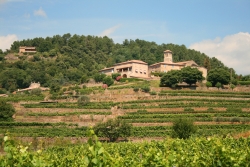 Les Chataigniers Rhône-Alpen - Ribes visuel 11/11 Les Chataigniers Rhône-Alpen - Ribes visuel 11/11