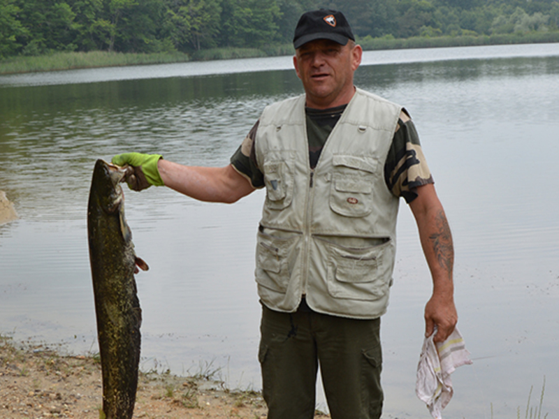 Les Châtaigniers Poitou-Charentes - Brossac visuel 2/9 Les Châtaigniers Poitou-Charentes - Brossac visuel 2/9