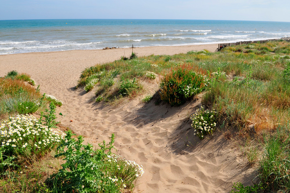 L'Occitan Languedoc-Roussillon - Vias visuel 2/7