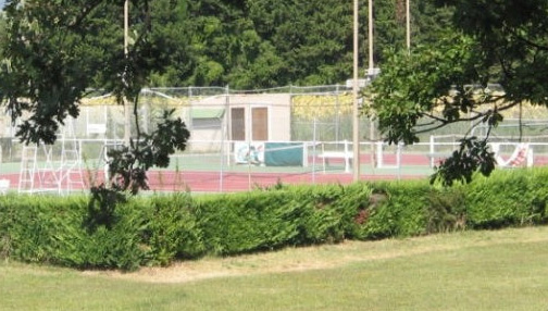 Les Cigales Provence-Alpes-Côte d'Azur - Peyruis visuel 5/5