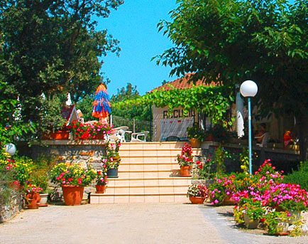 Les Cigales Rhône-Alpen - Berrias et Casteljau visuel 7/7