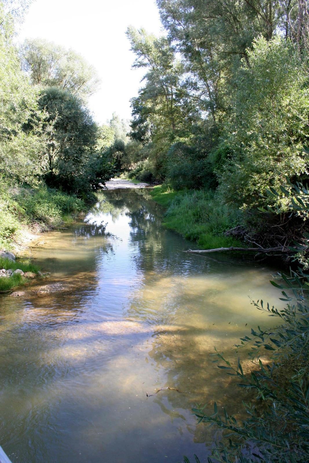 Les Coccinelles Provence-Alpes-Côte d'Azur - Lurs visuel 4/4 Les Coccinelles Provence-Alpes-Côte d'Azur - Lurs visuel 4/4