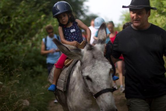 Les collines de Sainte-Féréole Limousin - Sainte-Féréole visuel 6/12