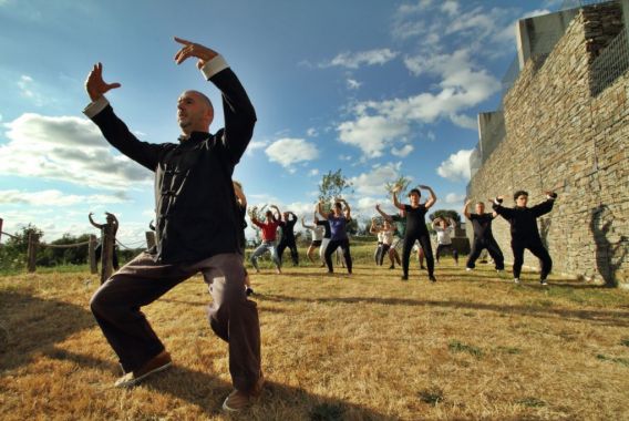 Les collines de Sainte-Féréole Limousin - Sainte-Féréole visuel 12/12