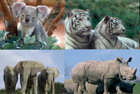 Les Coteaux du Lac Großes Zentrum - Chemillé-sur-Indrois visuel 2/10 Les Coteaux du Lac Großes Zentrum - Chemillé-sur-Indrois visuel 2/10