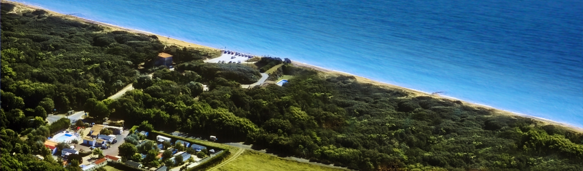 Les Cupressus Poitou-Charentes - Saint-Pierre-d'Oléron visuel 1/1