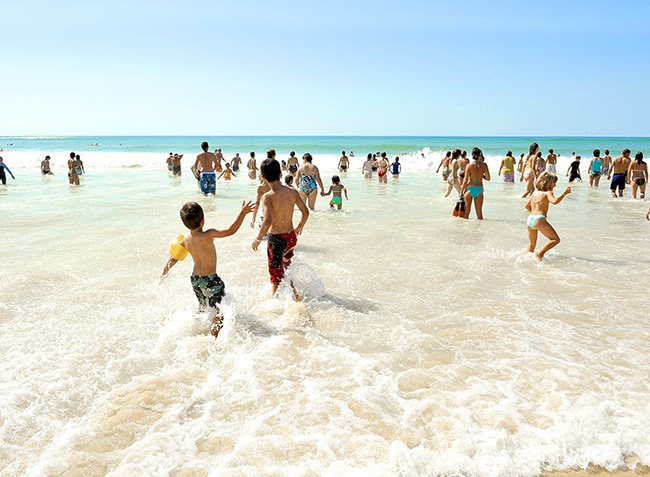 Les Deux Etangs Aquitanien - Seignosse visuel 5/9 Les Deux Etangs Aquitanien - Seignosse visuel 5/9