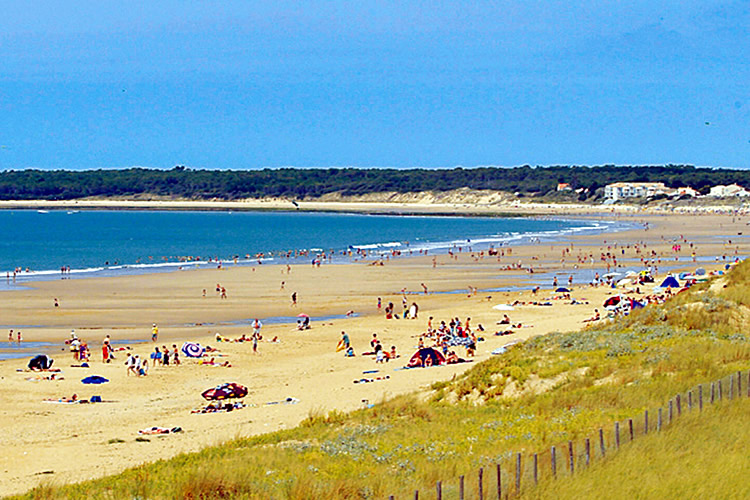 Les Dunes Das Loire-Gebiet - Longeville sur Mer visuel 9/12