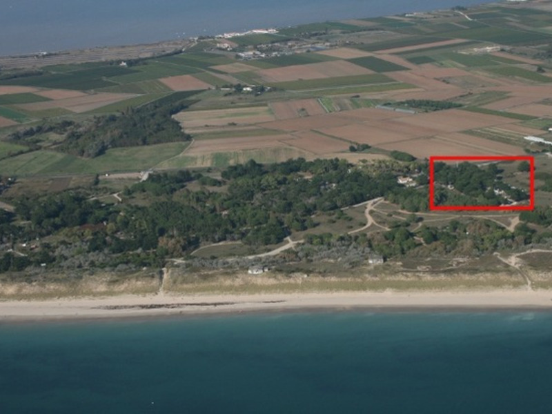 Les Dunes Poitou-Charentes - Le Bois-Plage-en-Ré visuel 2/6