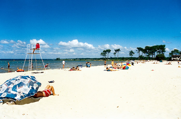 Les Ecureuils Aquitanien - Biscarrosse visuel 2/10