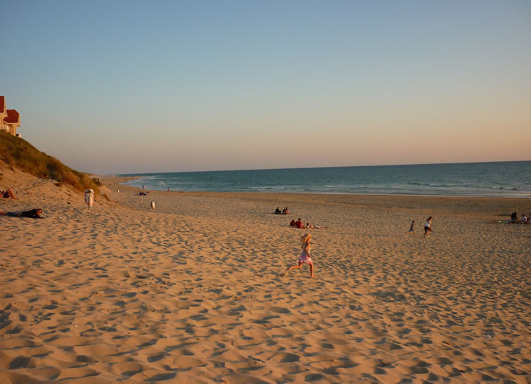 Les Ecureuils Aquitanien - Biscarrosse visuel 10/10