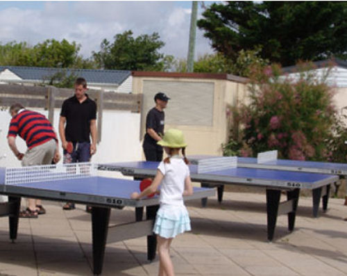 Les Ecureuils Das Loire-Gebiet - Saint-Hilaire-de-Riez visuel 3/10