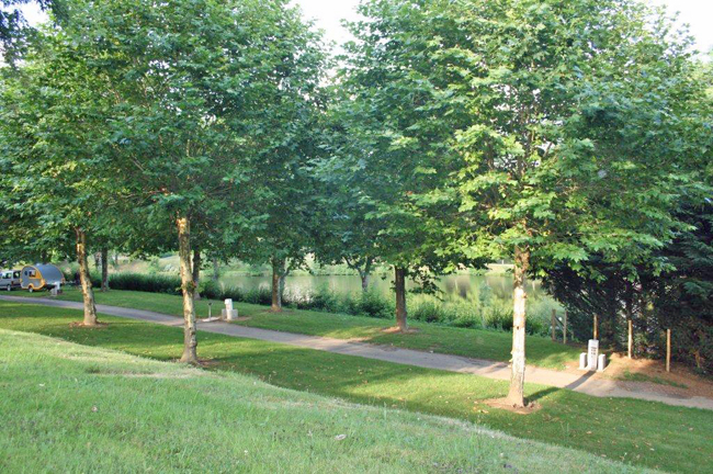 Les Etoiles Limousin - Saint-Sornin-Lavolps visuel 3/5 Les Etoiles Limousin - Saint-Sornin-Lavolps visuel 3/5